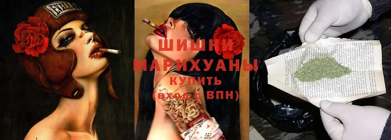 Бошки марихуана индика  блэк спрут онион  Сковородино 